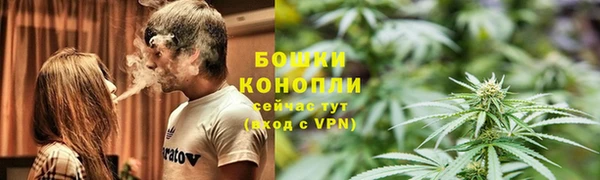 гидра Белокуриха