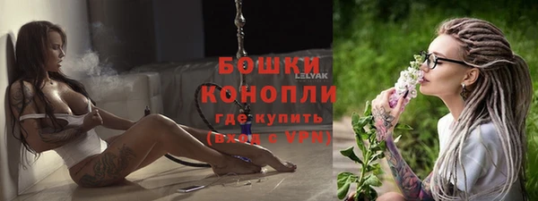 гидра Белокуриха