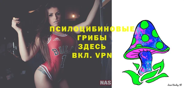 гидра Бугульма