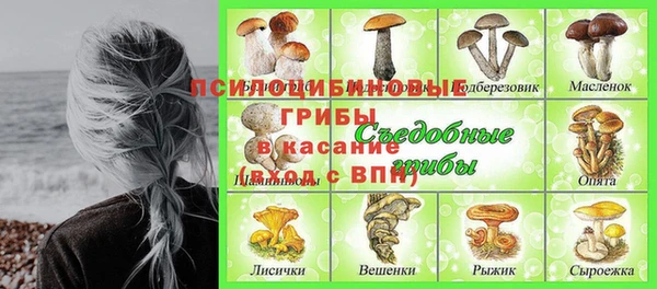 гидра Белокуриха
