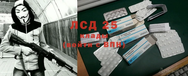 гидра Белокуриха