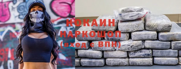 гидра Белокуриха