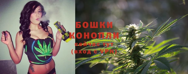 гидропоника Бородино