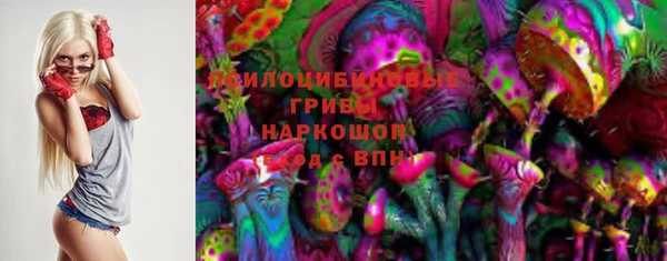 гидра Белокуриха