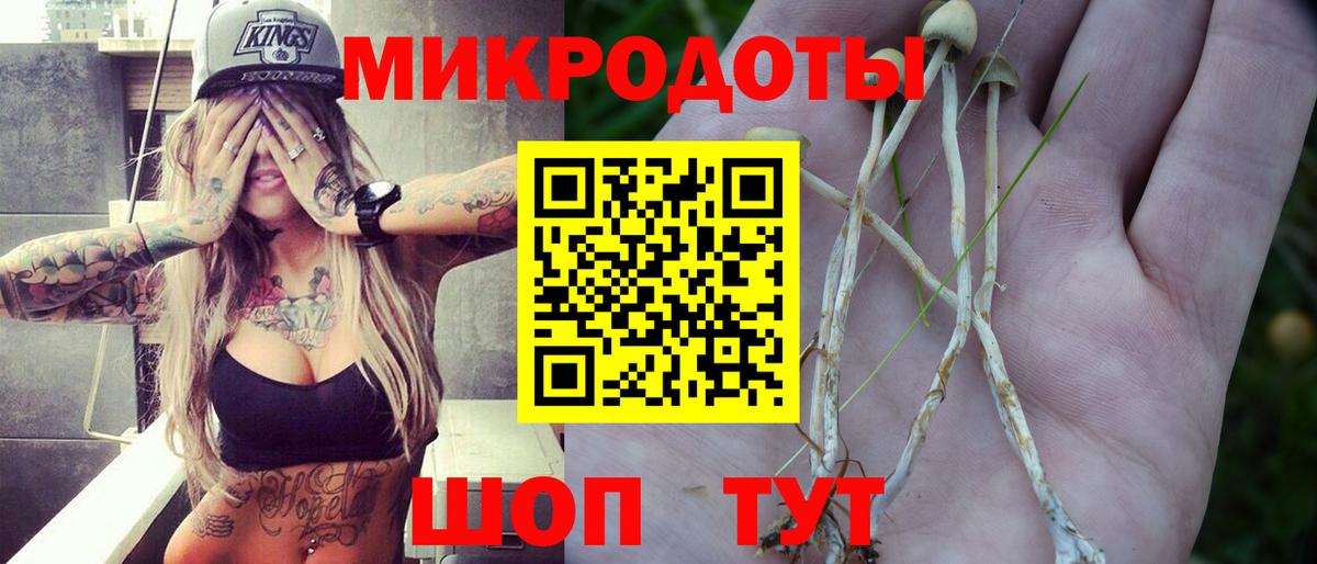 Псилоцибиновые грибы Psilocybe Калуга