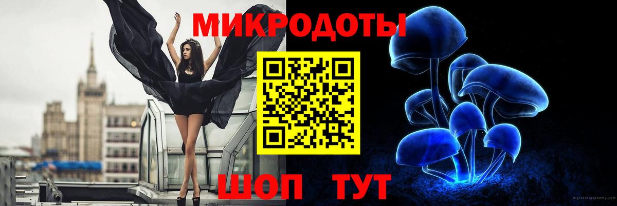 Псилоцибиновые грибы GOLDEN TEACHER  Галлюциногенные грибы прущие грибы  Калуга  Вход с VPN 